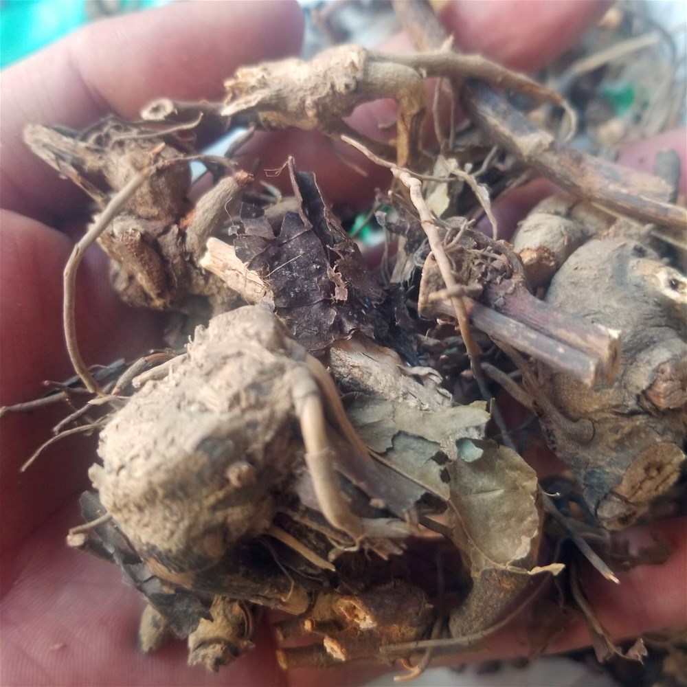 20190404_164533.jpg