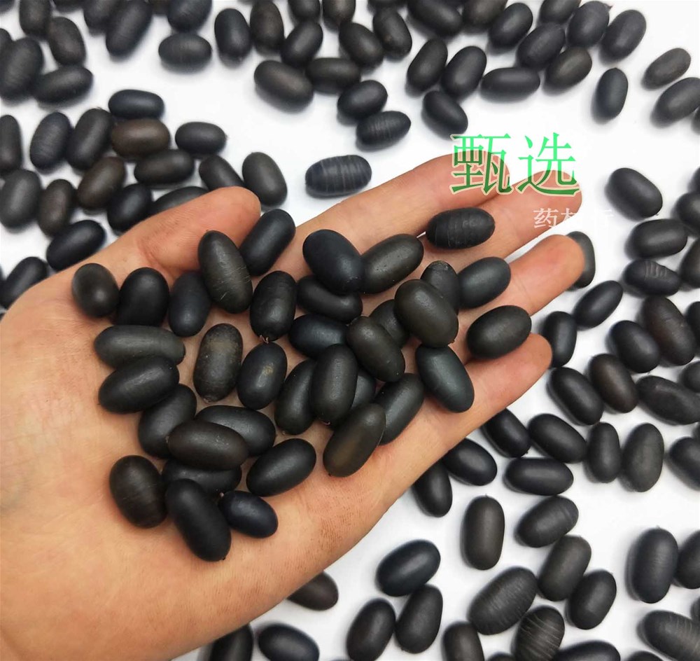 石莲子水印6.jpg