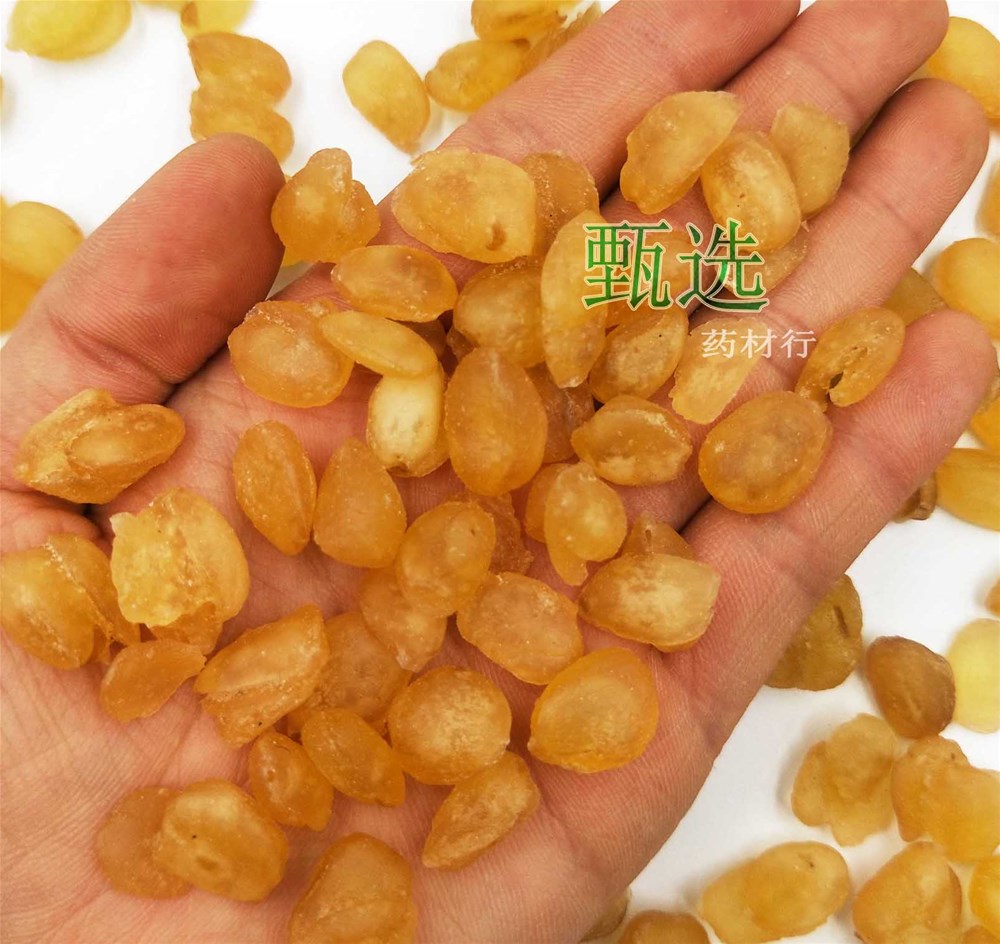 双荚皂角米水印6.jpg