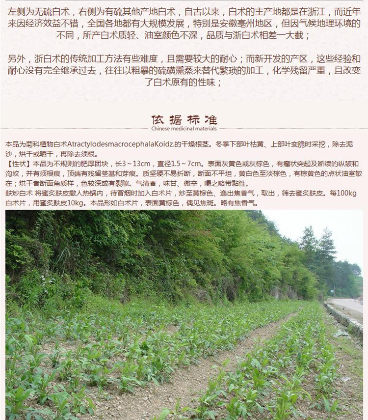 选个白术9.jpg