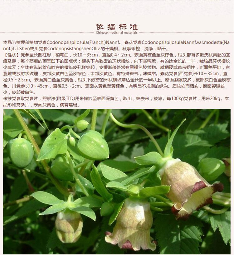1.0长条串子7.jpg