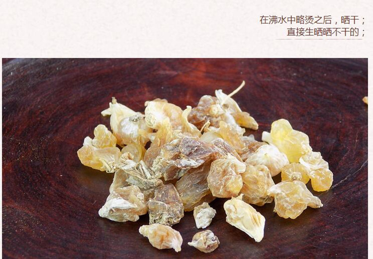 薤白4.jpg