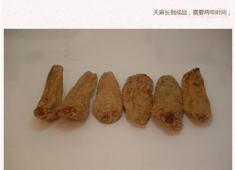 仿野生天麻3.jpg