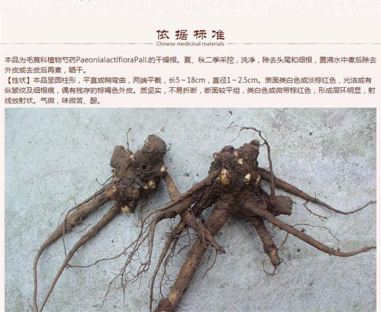 三等白芍9.jpg