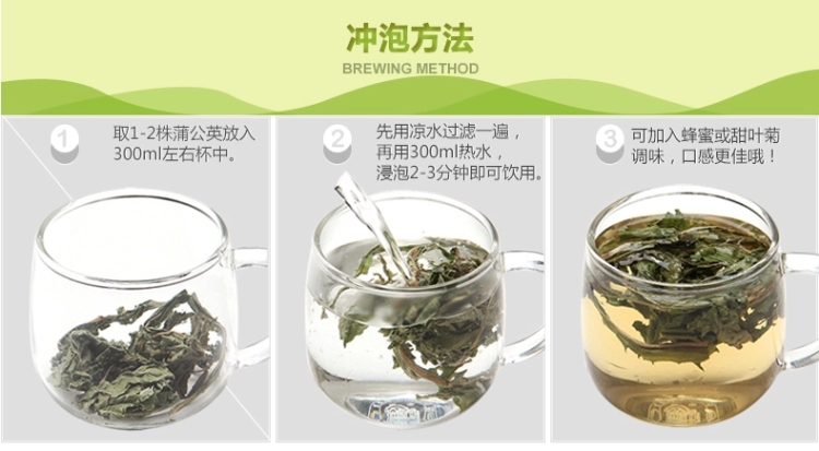 蒲公英28.jpg