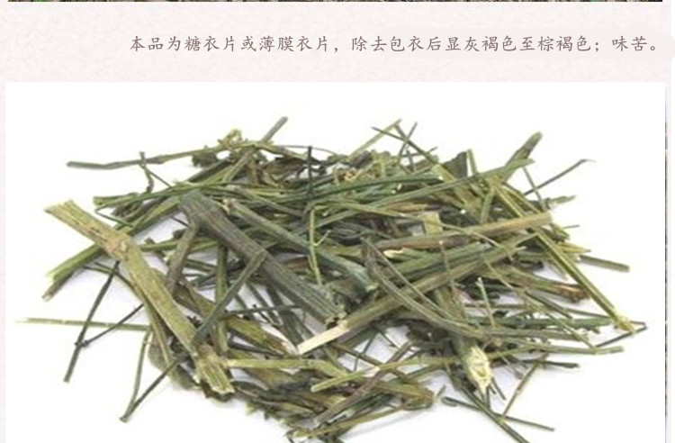 穿心莲3.jpg