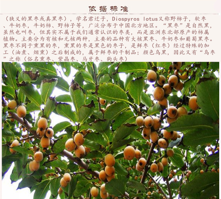 黑枣3.jpg