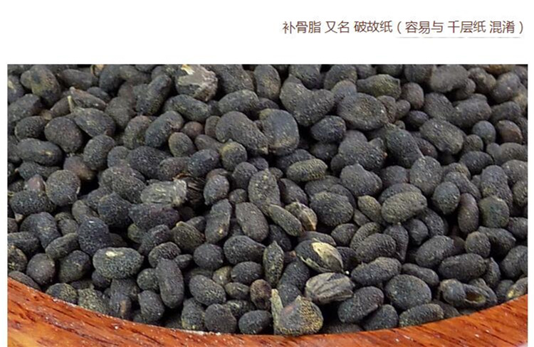 补骨脂4.jpg