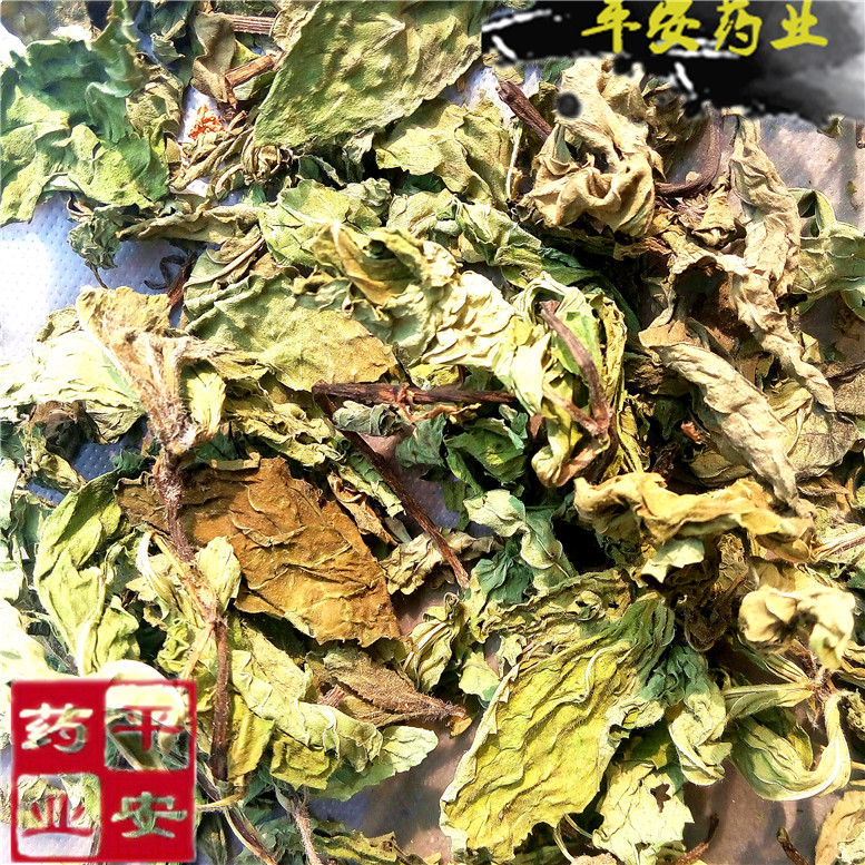 薄荷叶_副本.jpg