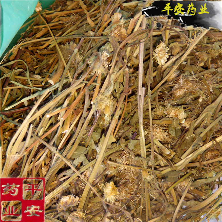 灯盏细辛灯展草28奇_副本.jpg