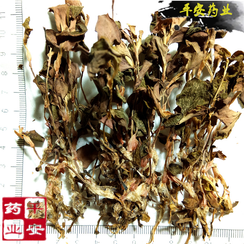 金线莲2000~03_副本.jpg
