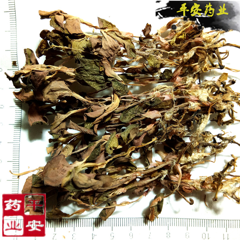 金线莲2000~02_副本.jpg