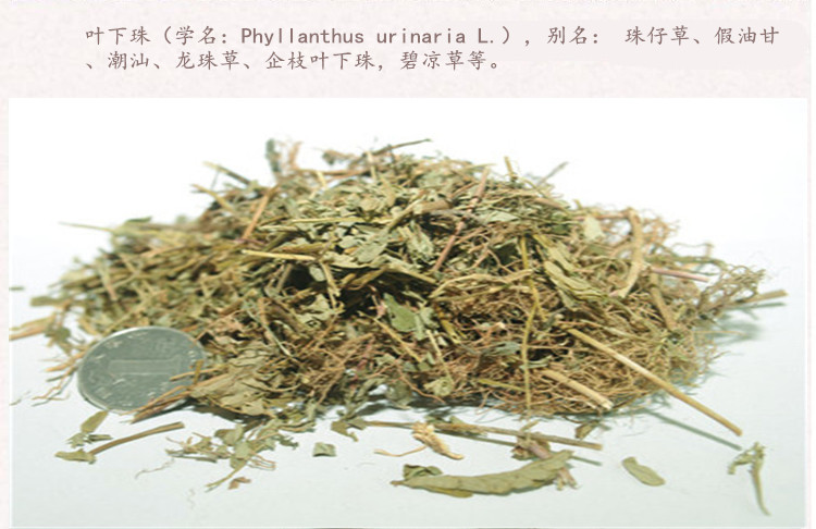 腋下珠3.jpg