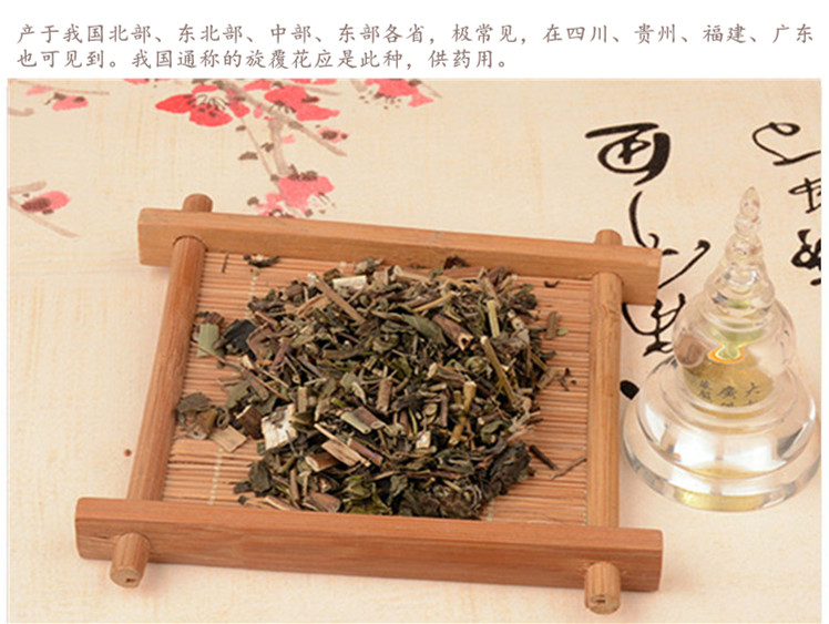 金佛草5.jpg