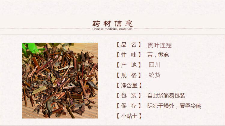 贯叶连翘1.jpg