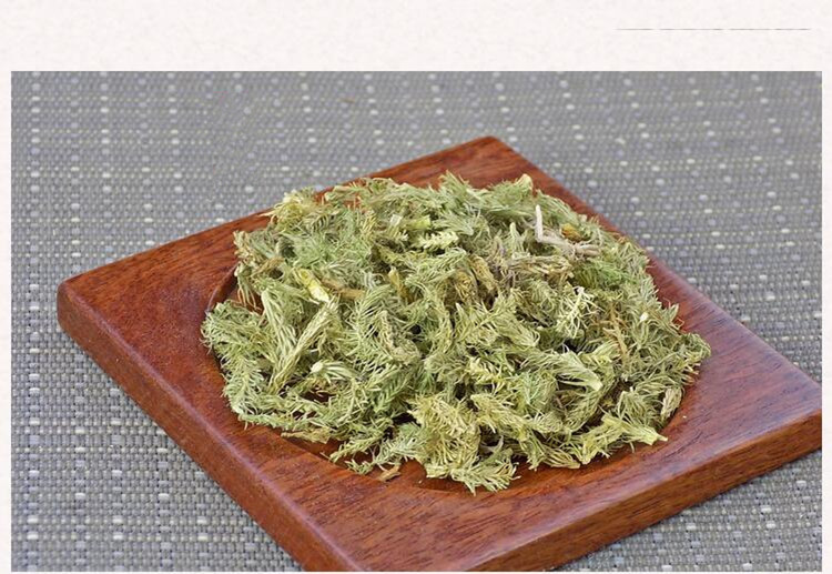 伸筋草4.jpg