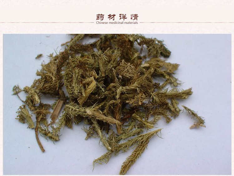 伸筋草2.jpg