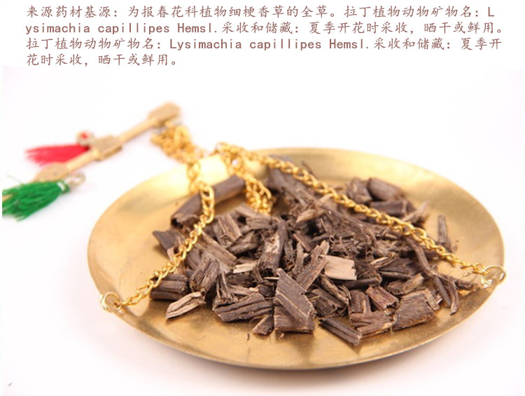 香排草4.jpg