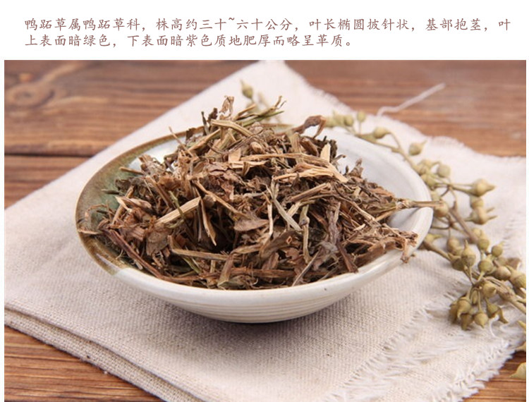 鸭拓草3.jpg