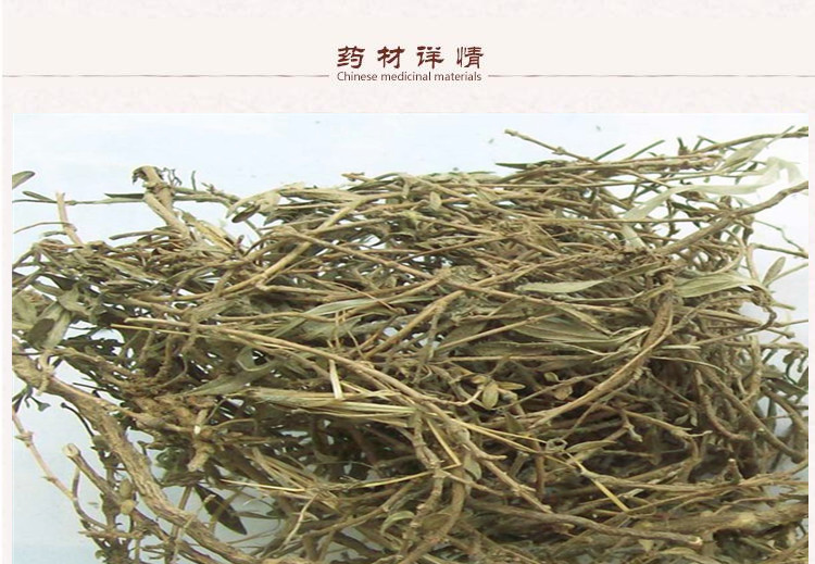 垂盆草2.jpg