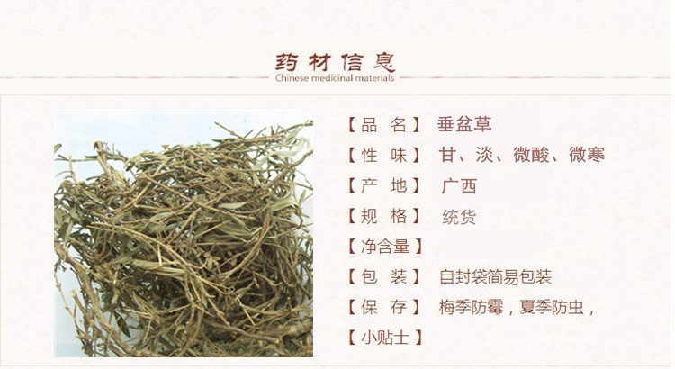 垂盆草1.jpg