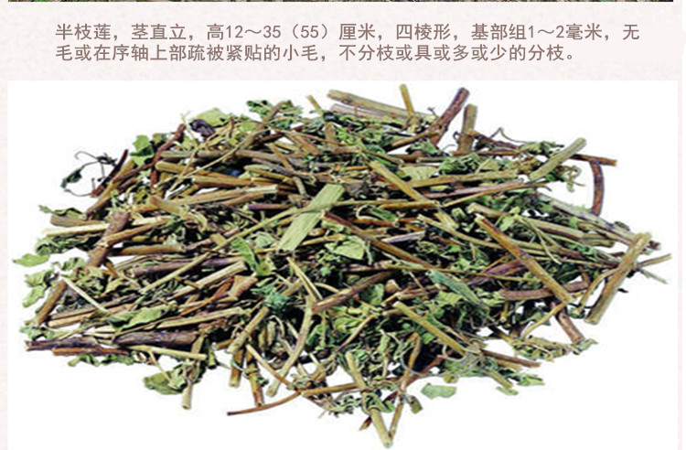 半枝莲3.jpg