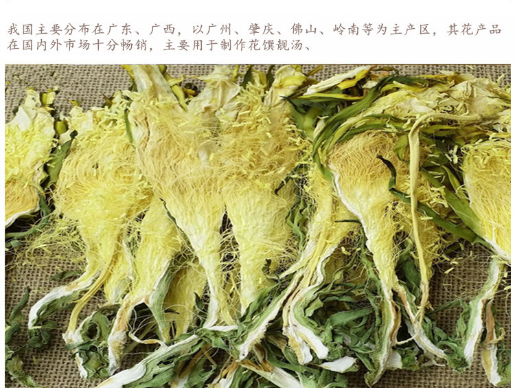 霸王草4.jpg