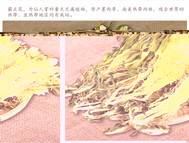 霸王花3.jpg