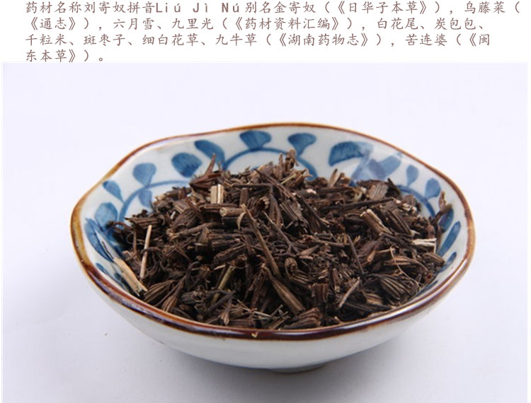 刘寄奴3.jpg