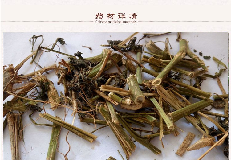 酸浆草2.jpg
