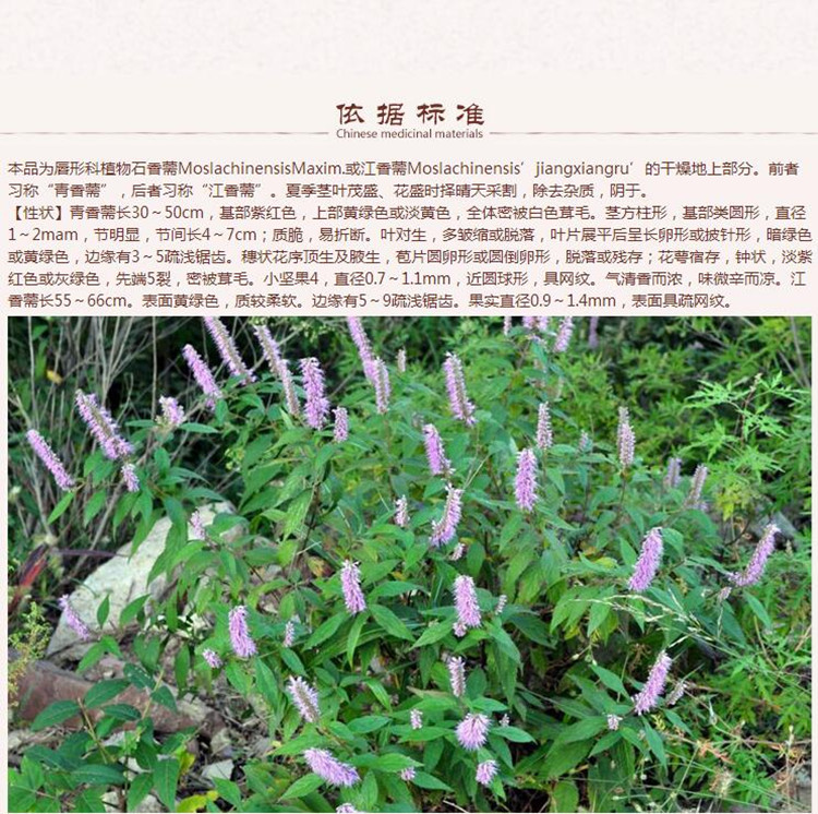 QQ截图20170313131403.jpg