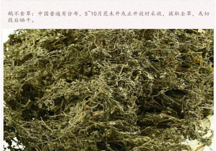 详情首图.jpg
