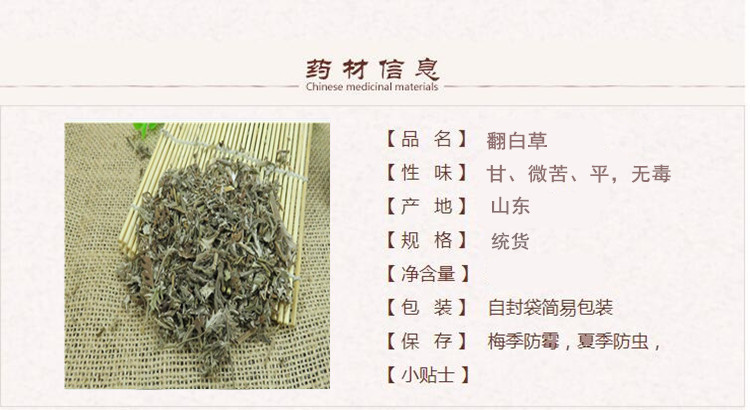 翻白草1.jpg