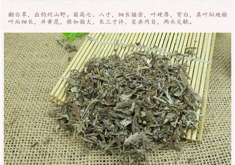 翻白草4.jpg