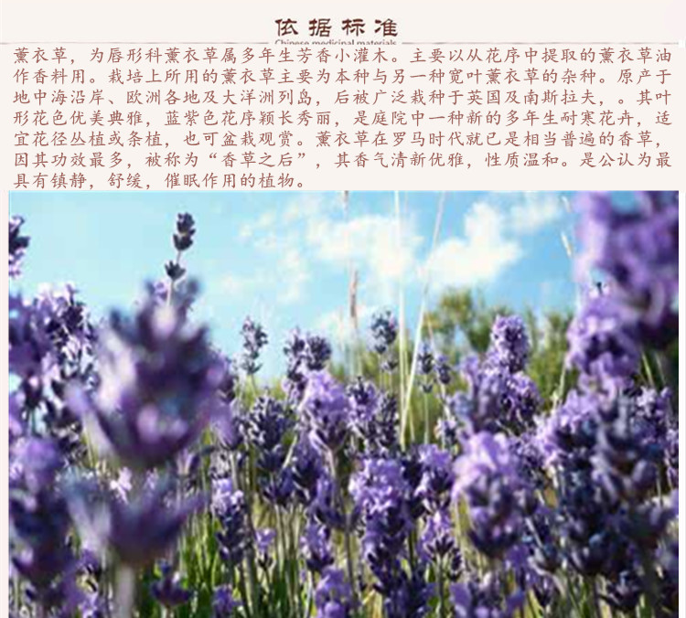 薰衣草9.jpg