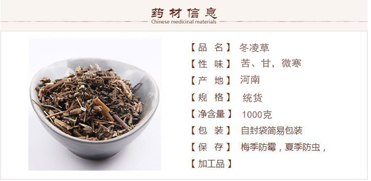 冬凌草1.jpg