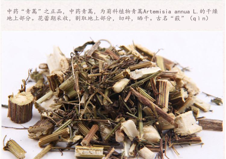 青蒿4.jpg