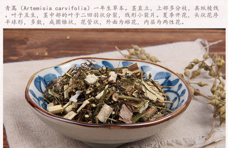 青蒿3.jpg