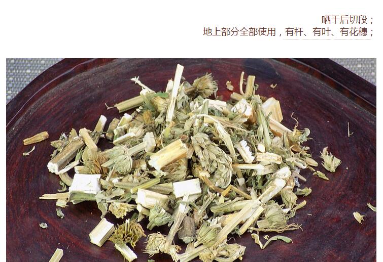 益母草4.jpg