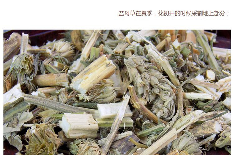 益母草3.jpg