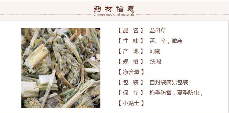 益母草1_副本.jpg