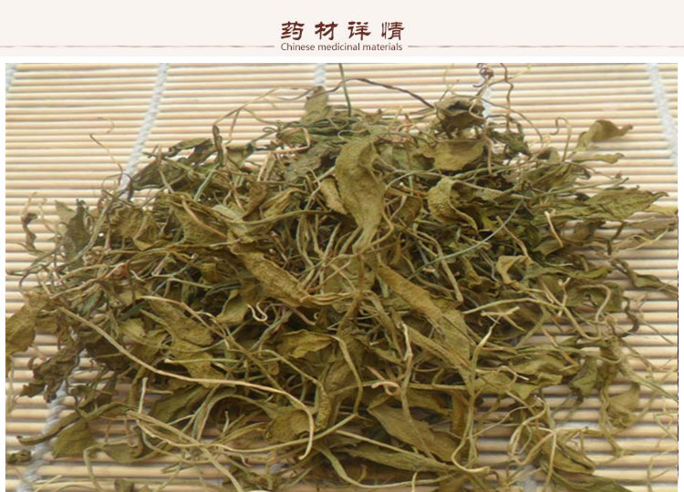 一支箭2.jpg