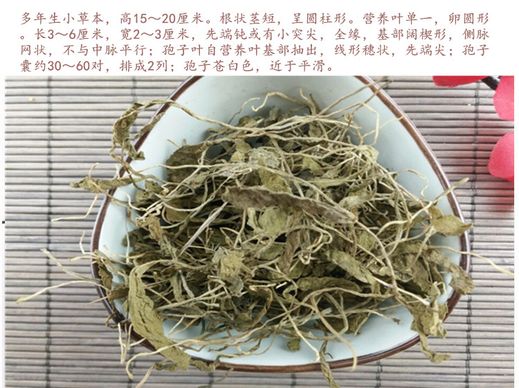 一支箭1.jpg