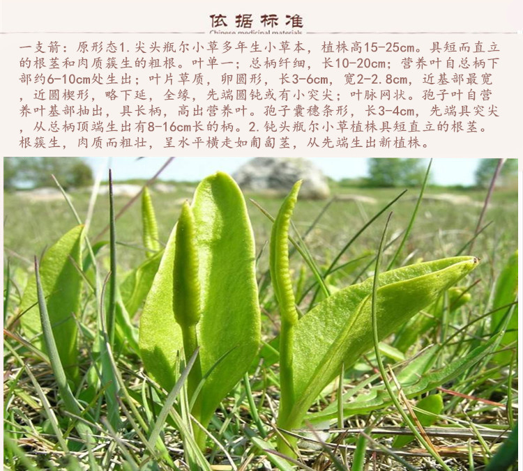 一箭9.jpg