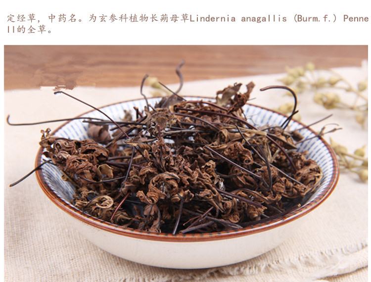 定经草3.jpg