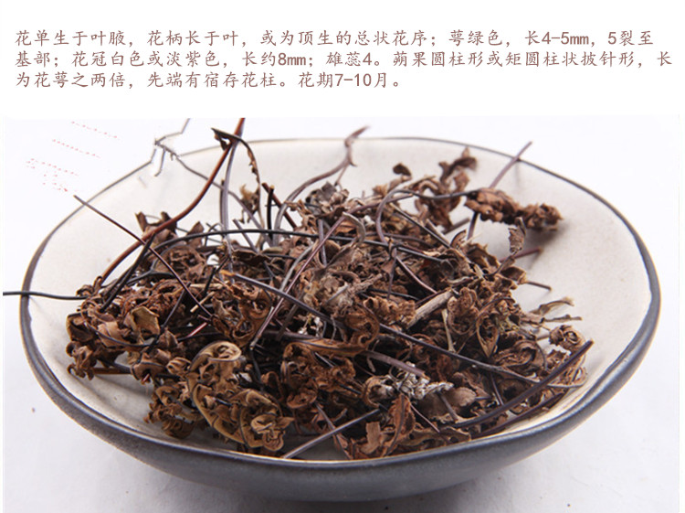 定经草5.jpg