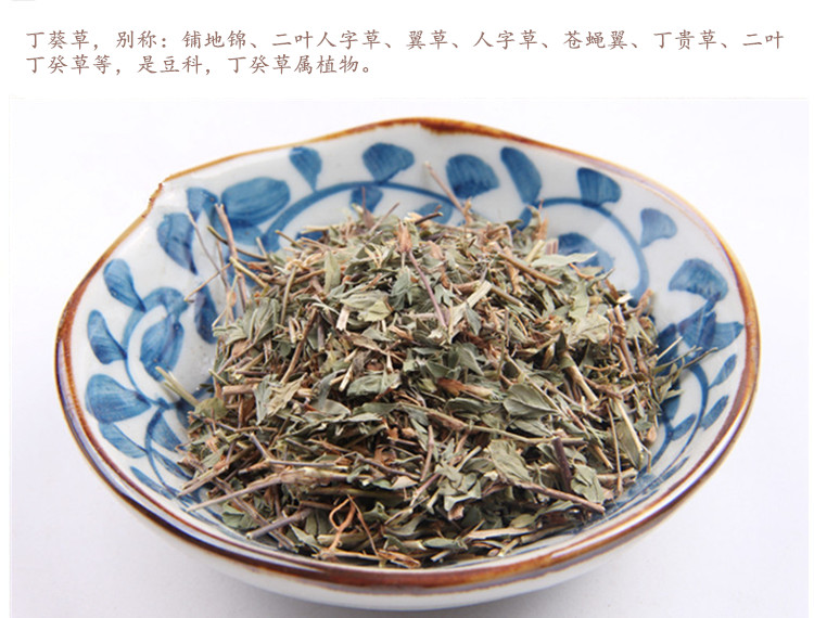 丁葵草3.jpg