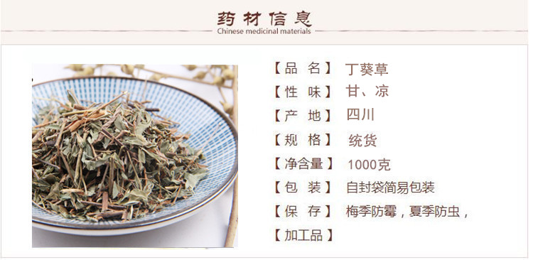 丁葵草1.jpg