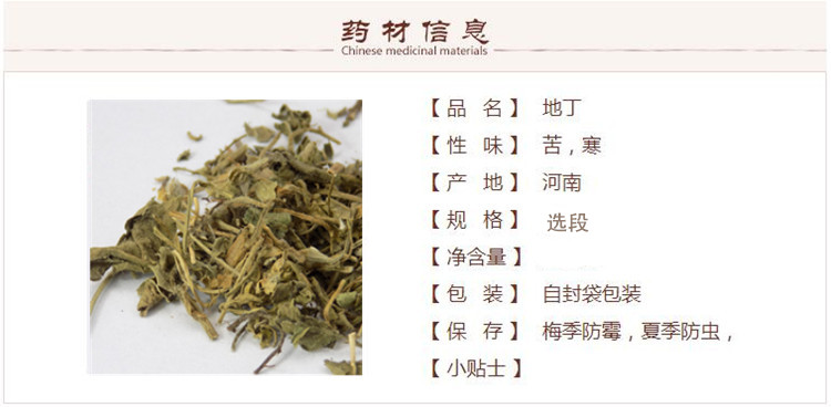 地丁1_副本.jpg