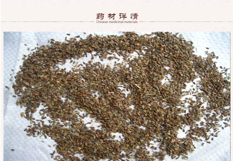 茺蔚子2.jpg